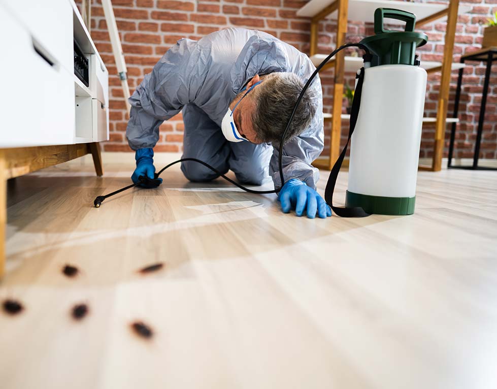 lafayette-pest-control-ant-control