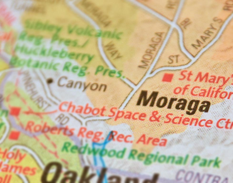 pest control moraga ca pest control moraga ca