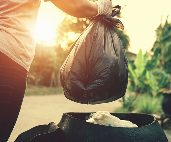 does-trash-attract-ants-in-the-kitchen-east-bay